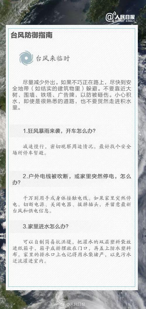 最新臺風,最新臺風，影響與應對