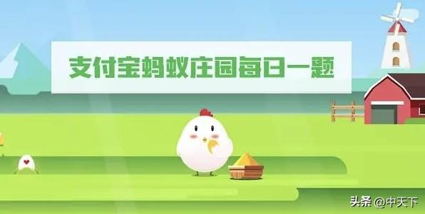 莊園小課堂今天答案最新,莊園小課堂今日答案最新揭秘