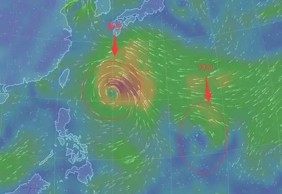 臺(tái)風(fēng)最新,臺(tái)風(fēng)最新動(dòng)態(tài)分析及其影響