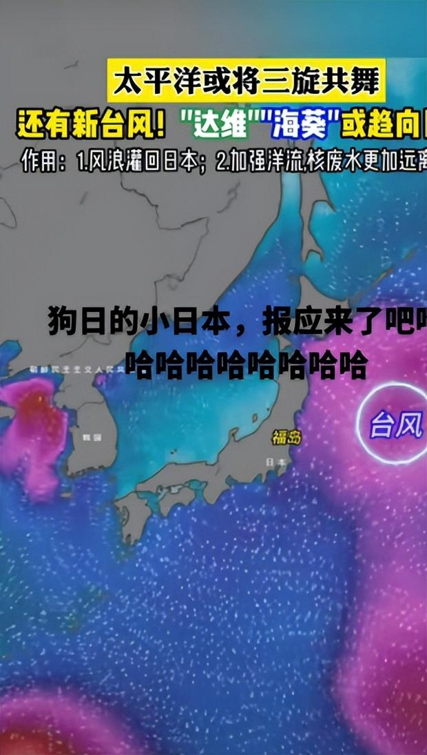 日本地震最新消息,日本地震最新消息，影響與應對