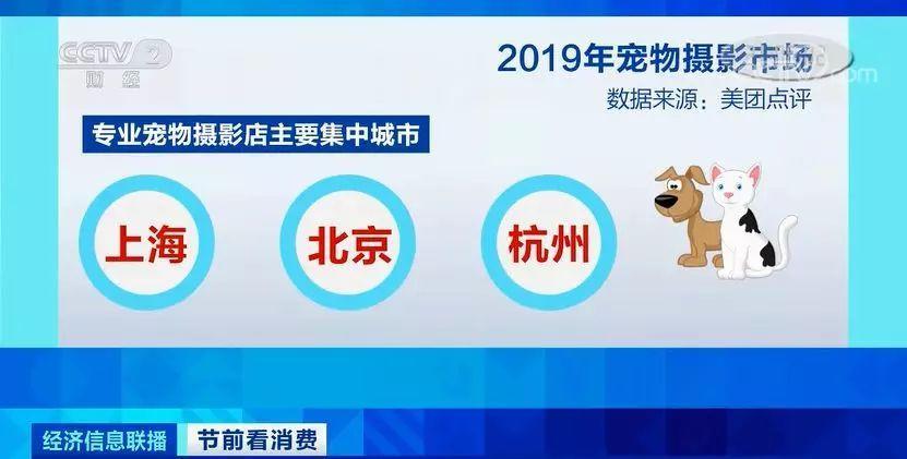 管家婆一肖一碼100正確,管家婆一肖一碼，揭秘100%正確的預測之道