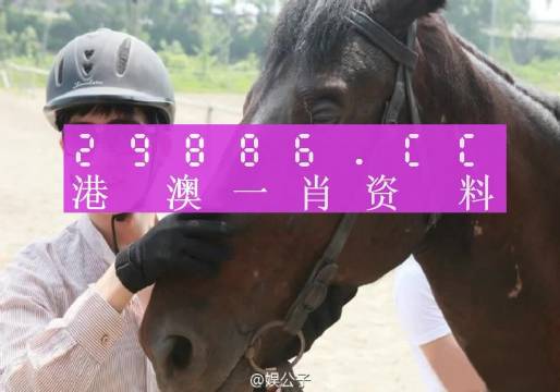 澳門最準(zhǔn)一肖一碼一碼公開,澳門最準(zhǔn)一肖一碼一碼公開，揭示背后的犯罪問(wèn)題