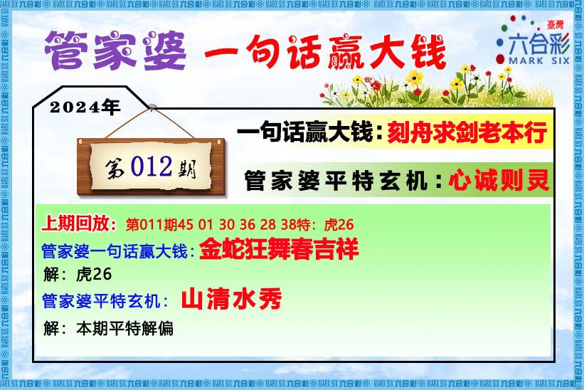 管家婆期期四肖四碼中,管家婆期期四肖四碼中的犯罪問題探討