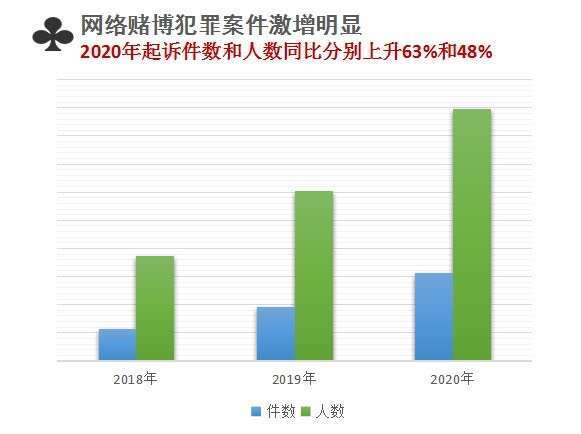 一碼一肖100%精準(zhǔn),一碼一肖，揭秘背后的犯罪真相與精準(zhǔn)打擊的重要性