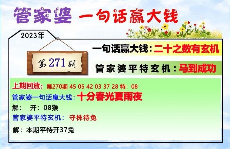 澳門一肖一碼100管家婆9995,澳門一肖一碼與管家婆9995，探索與解析