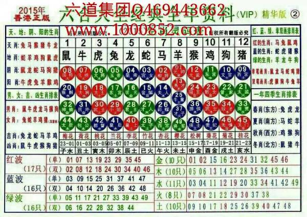 2024十二生肖49碼表,揭秘2024十二生肖與數(shù)字彩票的奇妙聯(lián)系——49碼表全解析