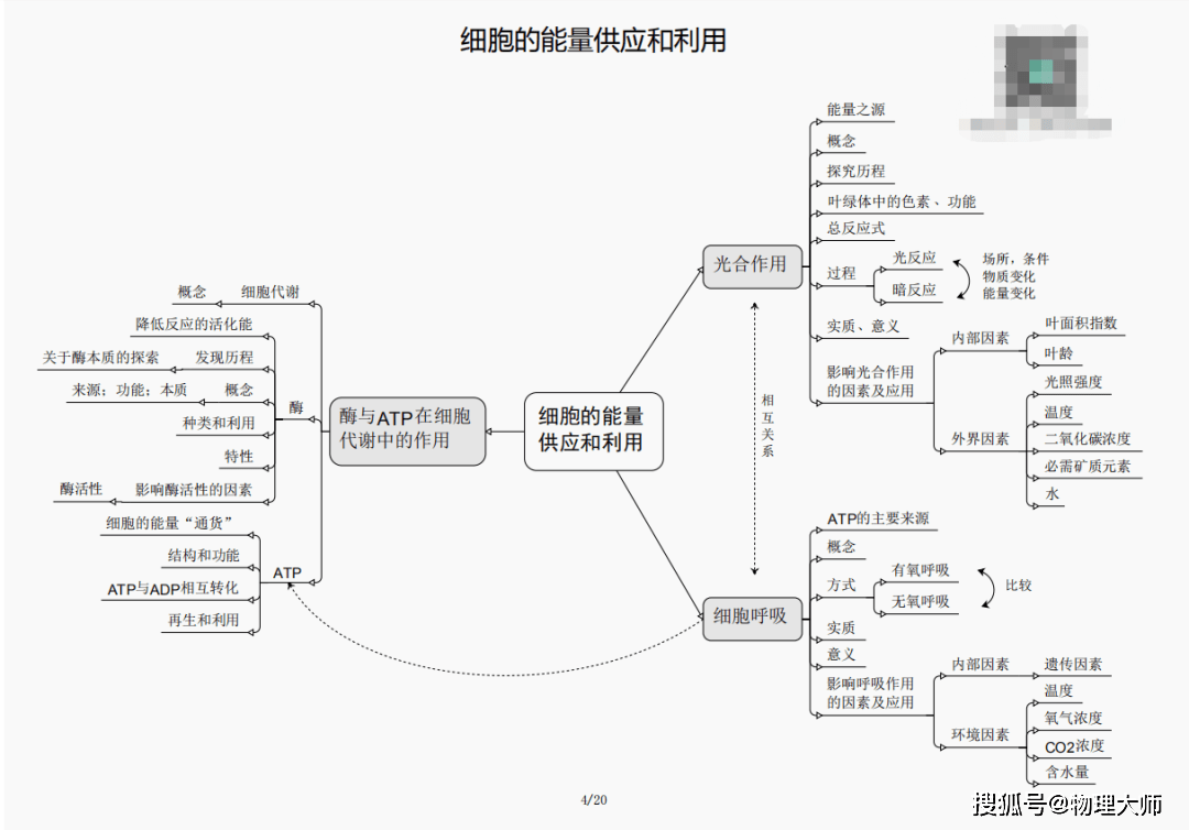 白小姐三肖三期必出一期開獎(jiǎng)虎年,白小姐三肖三期必出一期開獎(jiǎng)——虎年背后的警示與反思