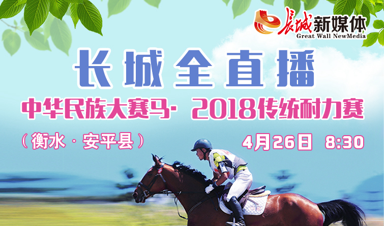 2024今晚香港開特馬開什么,探索香港賽馬文化，2024今晚特馬賽事展望