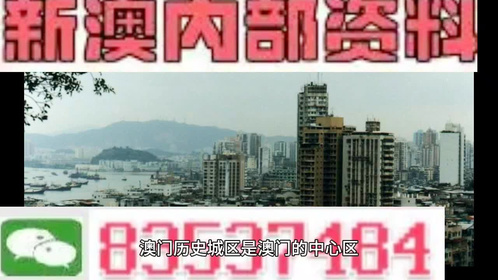 2024澳門精準(zhǔn)正版圖庫,澳門正版圖庫與犯罪行為的探討