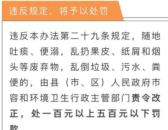 管家婆204年資料一肖,揭秘管家婆204年資料一肖，背后的秘密與真相