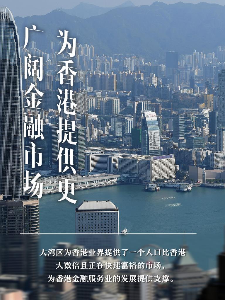 2024香港正版資料免費(fèi)盾,關(guān)于香港正版資料的免費(fèi)盾，未來的機(jī)遇與挑戰(zhàn)