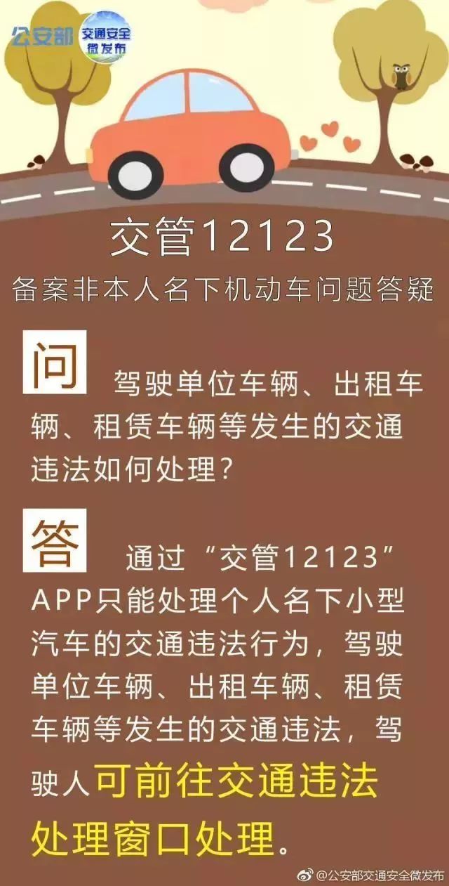 澳門天天開好彩大全53期,澳門天天開好彩，揭示犯罪問題的重要性與應(yīng)對之策