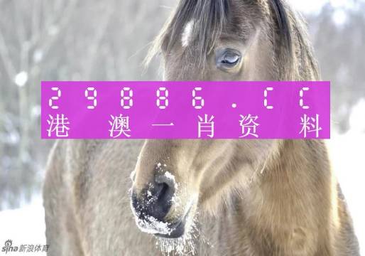 澳門(mén)一肖一碼100%準(zhǔn)確,澳門(mén)一肖一碼，揭秘所謂的100%準(zhǔn)確背后的真相