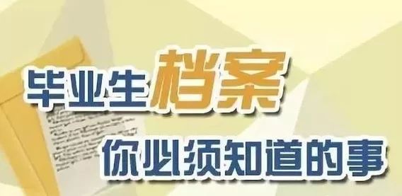 新奧門資料大全正版資料六肖,新澳門資料大全正版資料六肖，探索與解讀