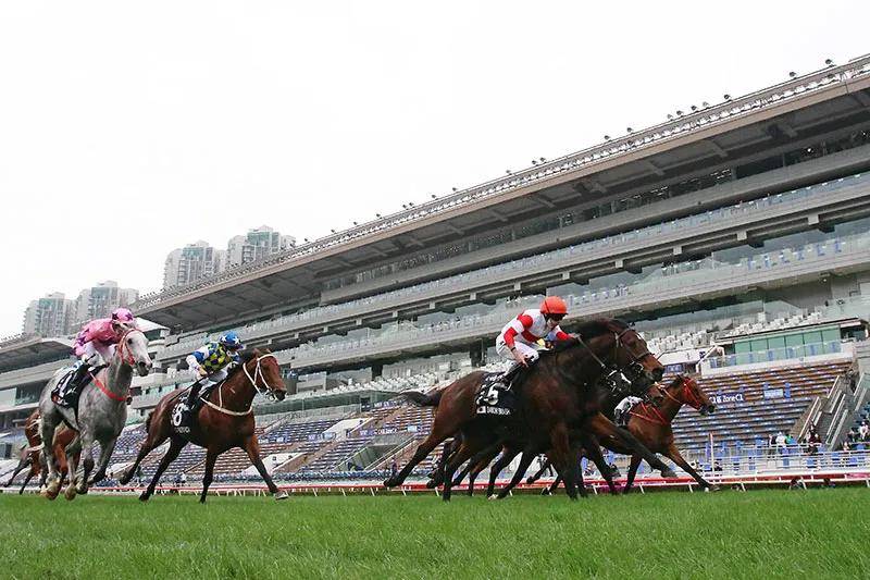 香港2024最準馬資料免費,香港2024最準馬資料免費，探索賽馬運動的魅力與最新資訊