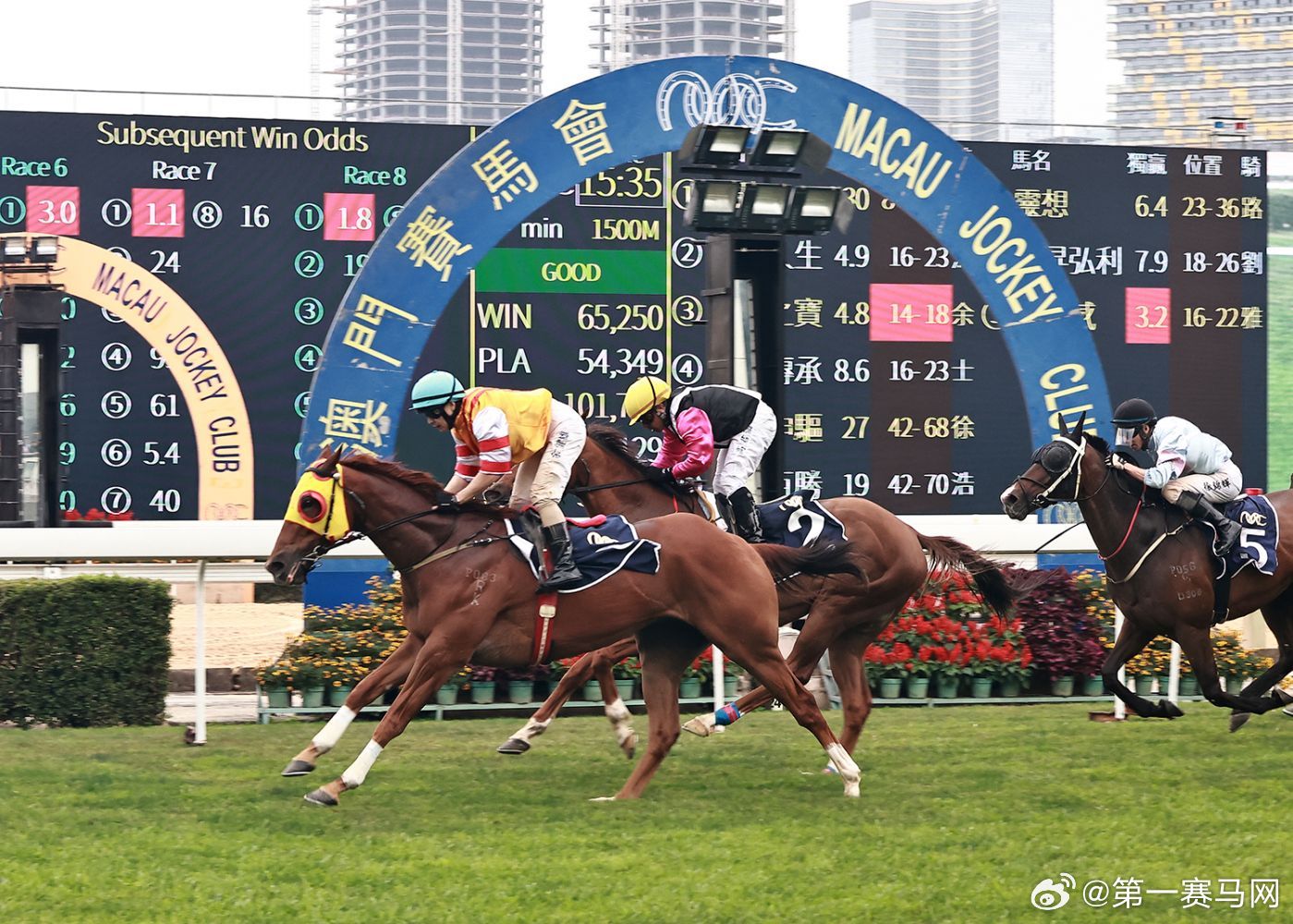 2024今晚澳門開特馬,今晚澳門特馬盛宴，期待與激情的交匯