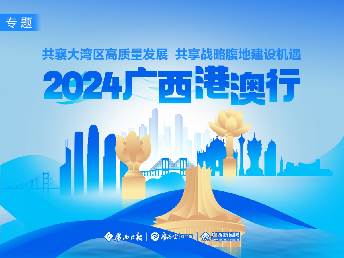 2024澳門精準正版澳門,澳門精準正版與犯罪問題探討