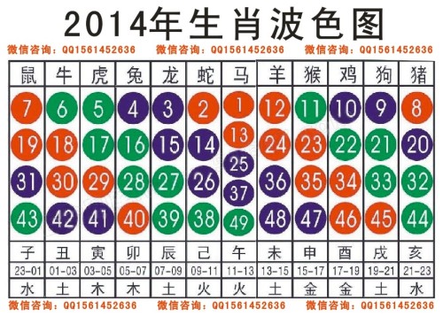 2024十二生肖49碼表,揭秘2024十二生肖與數(shù)字彩票的奇妙結(jié)合——十二生肖49碼表