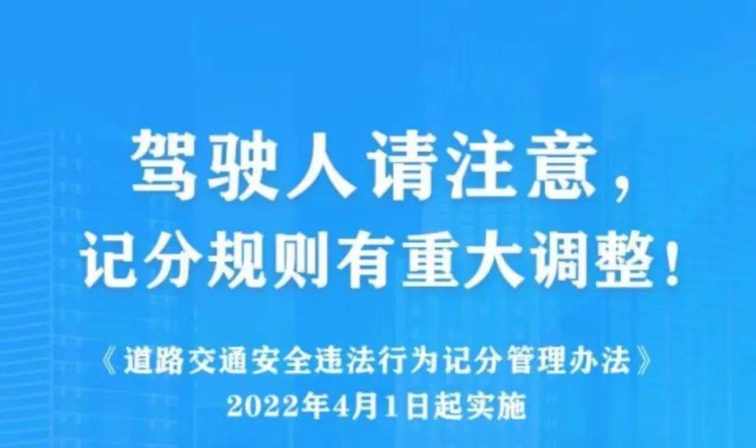 澳門精準(zhǔn)免費(fèi)鳳凰網(wǎng),澳門精準(zhǔn)免費(fèi)鳳凰網(wǎng)，揭示違法犯罪問(wèn)題的重要性