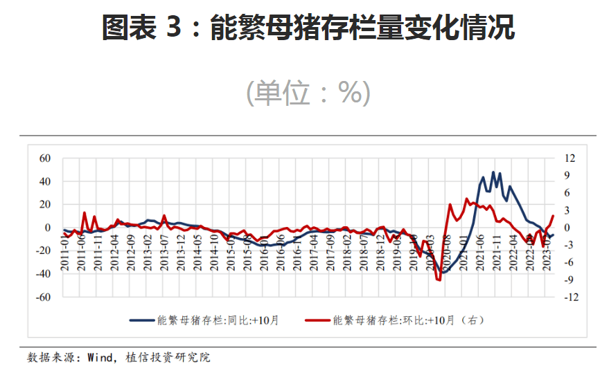 能繁母豬存欄最新數(shù)據(jù),最新能繁母豬存欄數(shù)據(jù)及其影響分析