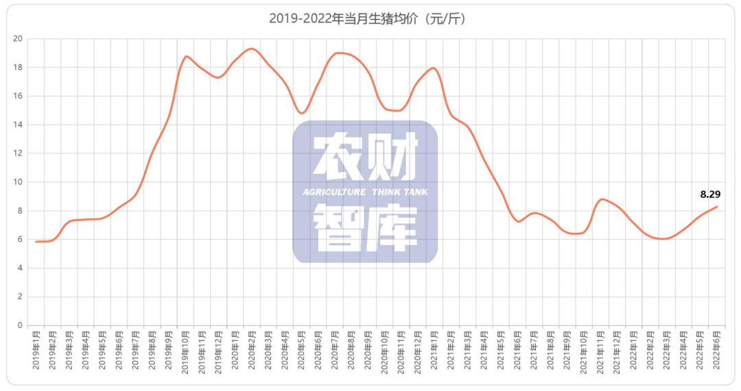 最新豬價,最新豬價動態(tài)及其對養(yǎng)殖業(yè)的影響