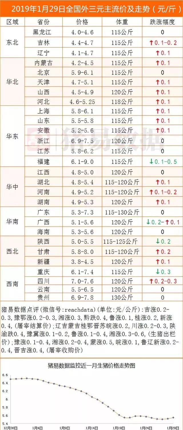 最新豬價格今日豬價格表,最新豬價格今日豬價格表及分析