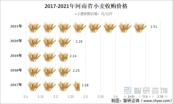 小麥價格最新行情今天,小麥價格最新行情今天