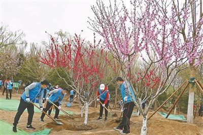 公園設(shè)計(jì)規(guī)范最新版,公園設(shè)計(jì)規(guī)范最新版，塑造更優(yōu)質(zhì)的公共綠色空間