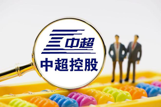 中超控股最新公告,中超控股最新公告深度解讀