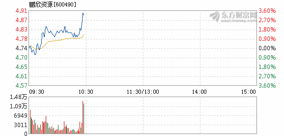 鵬欣資源最新消息,鵬欣資源最新消息深度解析