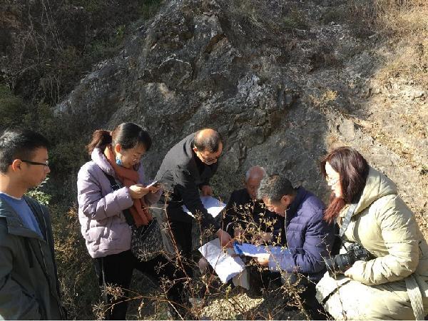 最新禮泉天氣預報,最新禮泉天氣預報及其影響