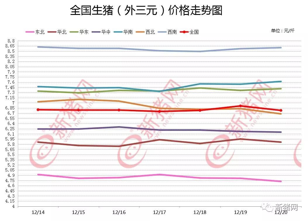 全國生豬價格最新行情,全國生豬價格最新行情分析