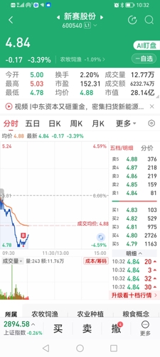 新賽股份最新消息,新賽股份最新消息全面解析