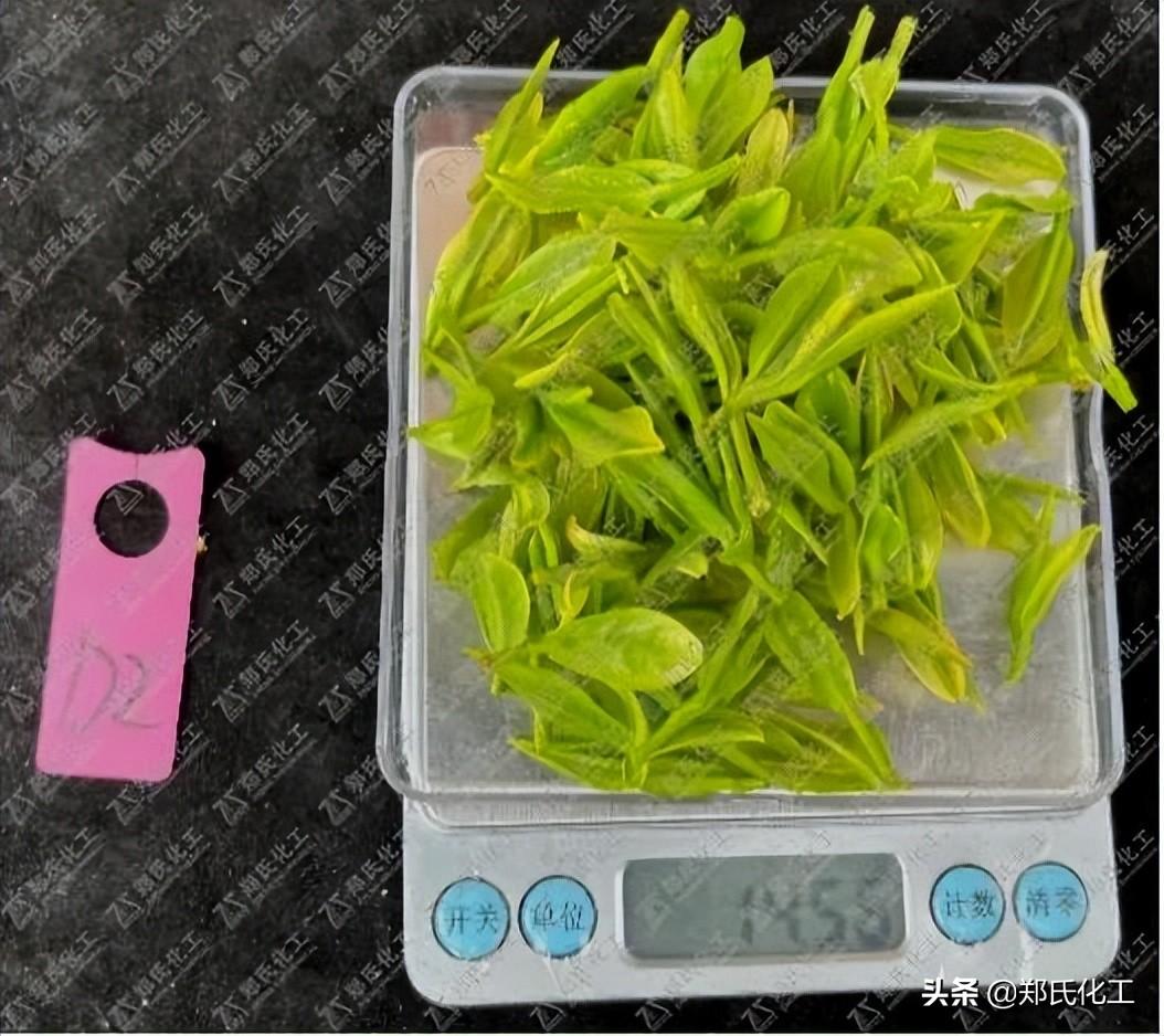 最新茶葉營銷方案,最新茶葉營銷方案，創(chuàng)新策略與未來趨勢