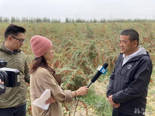 鄰水新聞最新動態(tài),鄰水新聞最新動態(tài)，城市發(fā)展的脈搏與民生改善的腳步