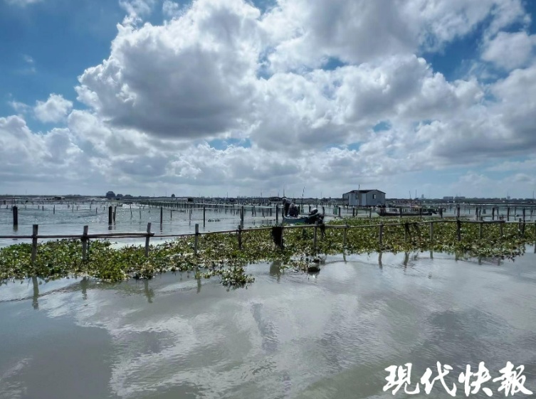 車馬碧水庫最新消息,車馬碧水庫最新消息全面解讀