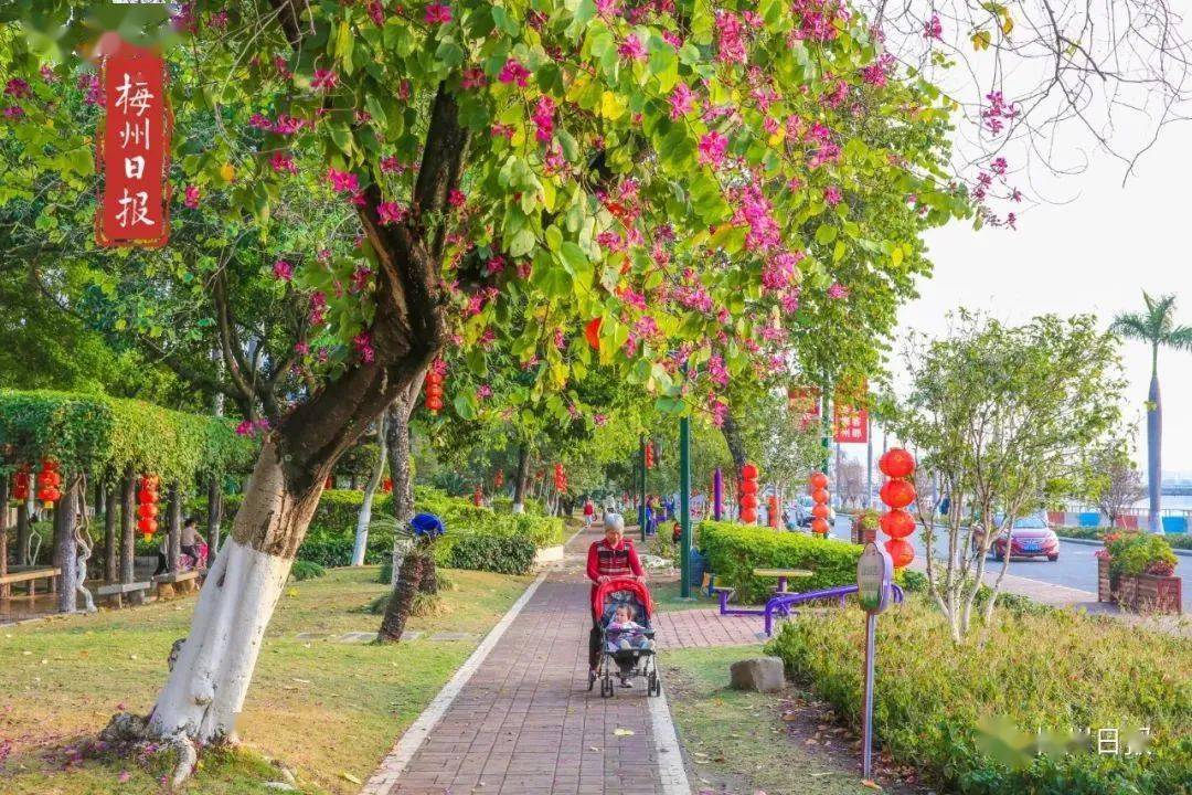 梅江公園二期最新動態(tài),梅江公園二期最新動態(tài)，邁向生態(tài)與人文共融的新時代