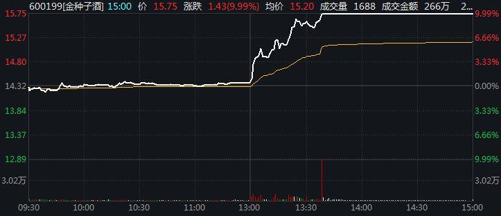 金種子酒股票最新消息,金種子酒股票最新消息，市場走勢與前景展望