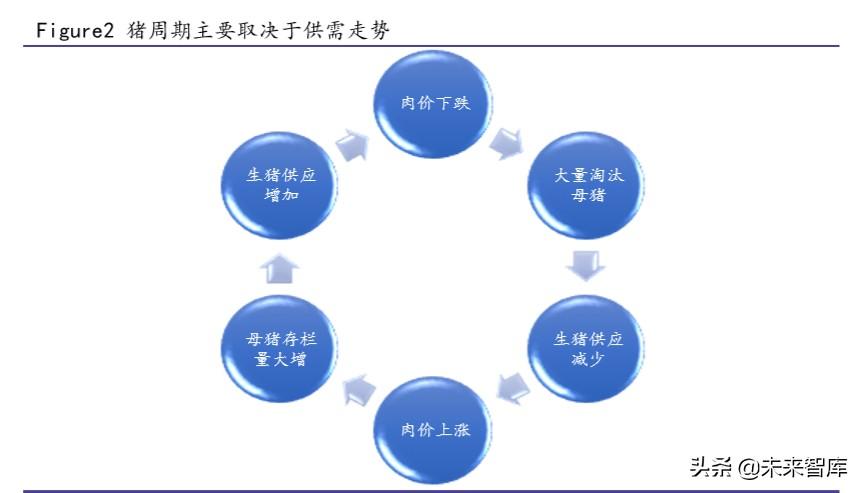 呆若木雞 第13頁