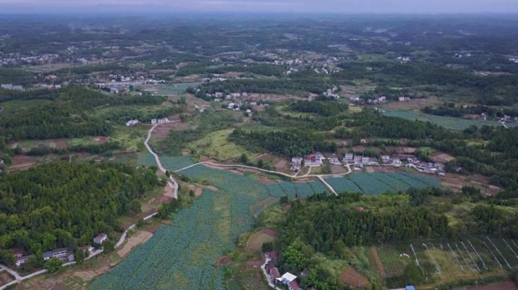 樂至毗河工程最新消息,樂至毗河工程最新消息深度解析