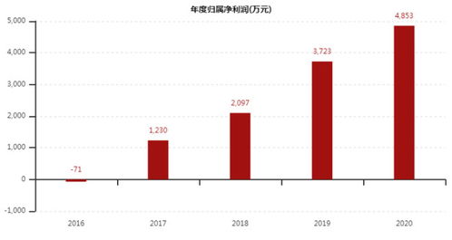 600701工大高新最新消息,工大高新最新消息，深度解析與前景展望