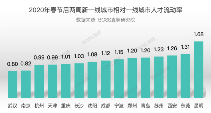 武漢應(yīng)屆畢業(yè)生招聘網(wǎng)最新招聘,武漢應(yīng)屆畢業(yè)生招聘網(wǎng)最新招聘動態(tài)深度解析