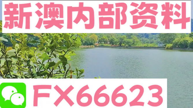 新澳精準(zhǔn)資料免費(fèi)提供網(wǎng)站|絕藝釋義解釋落實(shí),新澳精準(zhǔn)資料免費(fèi)提供網(wǎng)站與絕藝釋義的深入探索