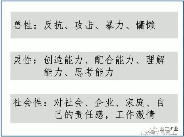 今晚澳門特馬開什么號碼|推理釋義解釋落實,今晚澳門特馬開什么號碼，推理、釋義、解釋與落實——并非簡單的預(yù)測犯罪問題