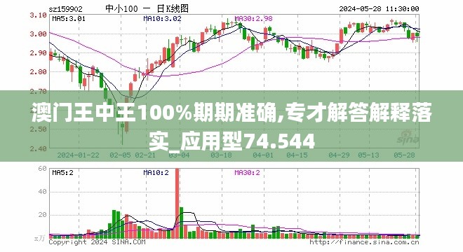 2024澳門王中王100%期期中|恒定釋義解釋落實,澳門王中王期期中的恒定釋義與落實策略