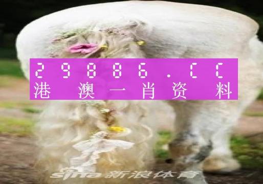 澳門一肖一碼準(zhǔn)選一碼2023年|長遠(yuǎn)釋義解釋落實(shí),澳門一肖一碼準(zhǔn)選一碼2023年，長遠(yuǎn)釋義、解釋與落實(shí)