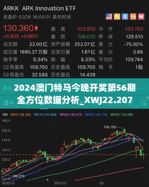 2024新澳門今晚開特馬直播|配置釋義解釋落實,探索新澳門，直播特馬背后的配置釋義與落實策略