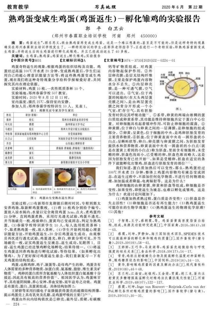 新奧門免費資料大全在線查看|培訓釋義解釋落實,新澳門免費資料大全在線查看與培訓釋義解釋落實的重要性