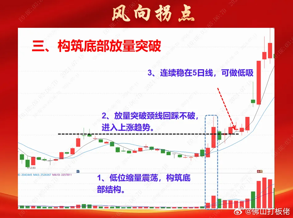 一肖一碼100%-中|抗風(fēng)釋義解釋落實,一肖一碼，百分之百準確預(yù)測與抗風(fēng)釋義的深入解讀