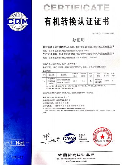 拾金不昧 第8頁